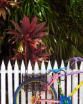 seværdigheder-i-key-west