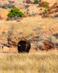 Oklahoma City - Wichita Mountains