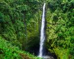 6 grunde til ferie på Hawaii