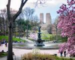 Central Park i New York