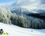 Ski i Fernie