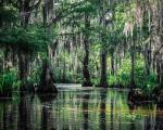 New Orleans