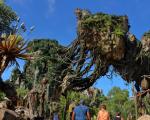 forlystelsesparker-i-orlando-animal-kingdom