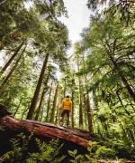 Pacific Northwest