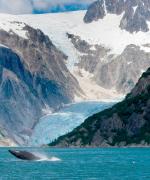 Kenai Fjords i Alaska