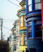 Painted Ladies