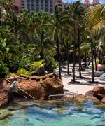 Paradise Island