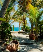 Kombiner Caribien og Florida